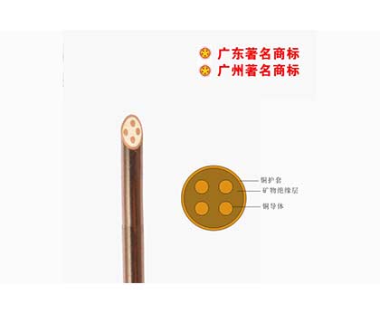 BTTZ-750V礦物質(zhì)電纜