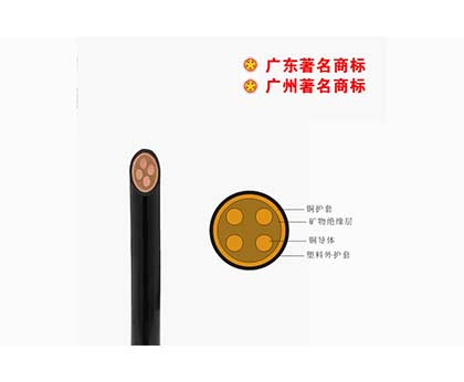 WD-BTTYZ-750V礦物質(zhì)電纜