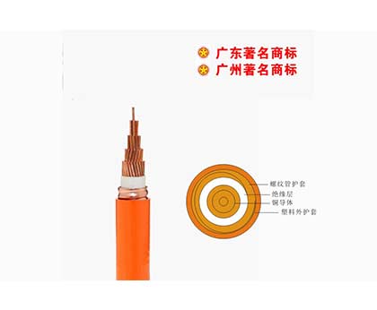 YTTWV-750V礦物質(zhì)電纜